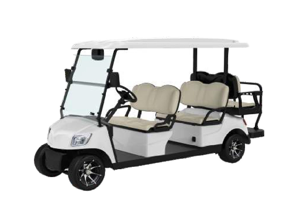E-Golf Car